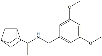 (1-{bicyclo[2.2.1]heptan-2-yl}ethyl)[(3,5-dimethoxyphenyl)methyl]amine