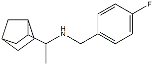 (1-{bicyclo[2.2.1]heptan-2-yl}ethyl)[(4-fluorophenyl)methyl]amine