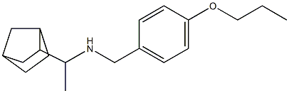 (1-{bicyclo[2.2.1]heptan-2-yl}ethyl)[(4-propoxyphenyl)methyl]amine Structure