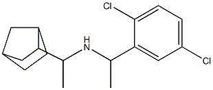 (1-{bicyclo[2.2.1]heptan-2-yl}ethyl)[1-(2,5-dichlorophenyl)ethyl]amine