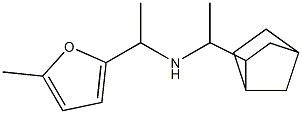 (1-{bicyclo[2.2.1]heptan-2-yl}ethyl)[1-(5-methylfuran-2-yl)ethyl]amine|