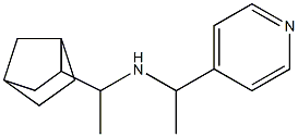 (1-{bicyclo[2.2.1]heptan-2-yl}ethyl)[1-(pyridin-4-yl)ethyl]amine