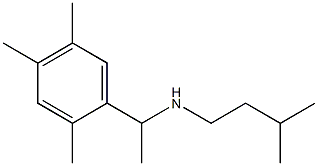 (3-methylbutyl)[1-(2,4,5-trimethylphenyl)ethyl]amine Struktur