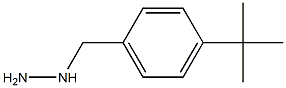 (4-tert-butylbenzyl)hydrazine 化学構造式