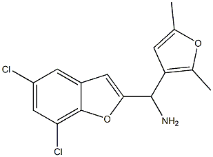 (5,7-dichloro-1-benzofuran-2-yl)(2,5-dimethylfuran-3-yl)methanamine 化学構造式