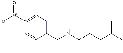 (5-methylhexan-2-yl)[(4-nitrophenyl)methyl]amine,,结构式