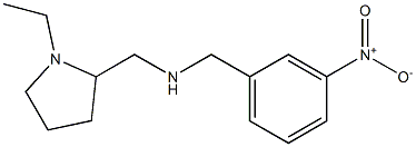 [(1-ethylpyrrolidin-2-yl)methyl][(3-nitrophenyl)methyl]amine,,结构式