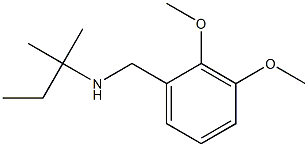 [(2,3-dimethoxyphenyl)methyl](2-methylbutan-2-yl)amine|