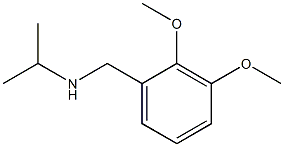 [(2,3-dimethoxyphenyl)methyl](propan-2-yl)amine 结构式