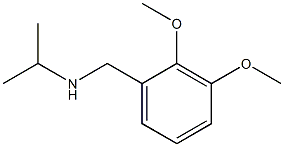 [(2,3-dimethoxyphenyl)methyl](propan-2-yl)amine,,结构式