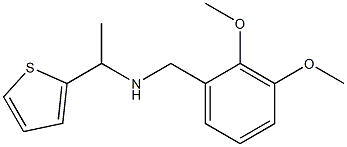 [(2,3-dimethoxyphenyl)methyl][1-(thiophen-2-yl)ethyl]amine