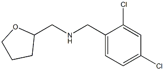 [(2,4-dichlorophenyl)methyl](oxolan-2-ylmethyl)amine Structure