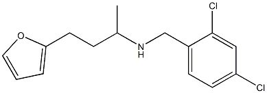 [(2,4-dichlorophenyl)methyl][4-(furan-2-yl)butan-2-yl]amine 化学構造式