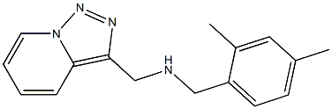 [(2,4-dimethylphenyl)methyl]({[1,2,4]triazolo[3,4-a]pyridin-3-ylmethyl})amine 化学構造式