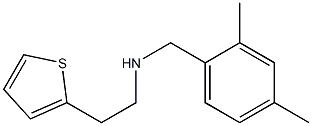 [(2,4-dimethylphenyl)methyl][2-(thiophen-2-yl)ethyl]amine Structure