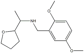 [(2,5-dimethoxyphenyl)methyl][1-(oxolan-2-yl)ethyl]amine