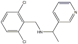 [(2,6-dichlorophenyl)methyl][1-(pyridin-3-yl)ethyl]amine