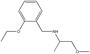 [(2-ethoxyphenyl)methyl](1-methoxypropan-2-yl)amine 化学構造式