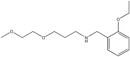 [(2-ethoxyphenyl)methyl][3-(2-methoxyethoxy)propyl]amine 化学構造式