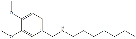 [(3,4-dimethoxyphenyl)methyl](heptyl)amine 结构式