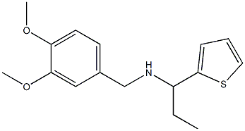 [(3,4-dimethoxyphenyl)methyl][1-(thiophen-2-yl)propyl]amine,,结构式
