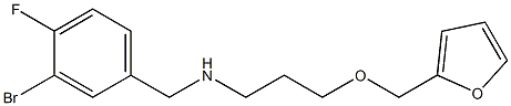 [(3-bromo-4-fluorophenyl)methyl][3-(furan-2-ylmethoxy)propyl]amine Structure