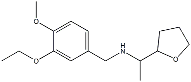 [(3-ethoxy-4-methoxyphenyl)methyl][1-(oxolan-2-yl)ethyl]amine 化学構造式