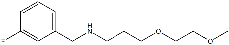 [(3-fluorophenyl)methyl][3-(2-methoxyethoxy)propyl]amine 结构式