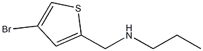 [(4-bromothiophen-2-yl)methyl](propyl)amine Structure