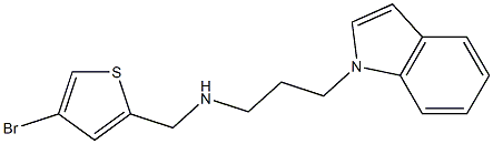 [(4-bromothiophen-2-yl)methyl][3-(1H-indol-1-yl)propyl]amine