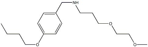  [(4-butoxyphenyl)methyl][3-(2-methoxyethoxy)propyl]amine