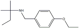 [(4-ethoxyphenyl)methyl](2-methylbutan-2-yl)amine 化学構造式