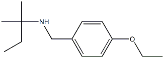 [(4-ethoxyphenyl)methyl](2-methylbutan-2-yl)amine Struktur