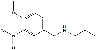 [(4-methoxy-3-nitrophenyl)methyl](propyl)amine 结构式