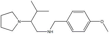 [(4-methoxyphenyl)methyl][3-methyl-2-(pyrrolidin-1-yl)butyl]amine,,结构式