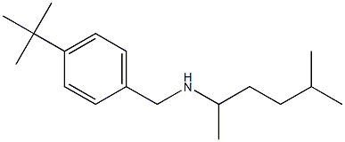 [(4-tert-butylphenyl)methyl](5-methylhexan-2-yl)amine 结构式