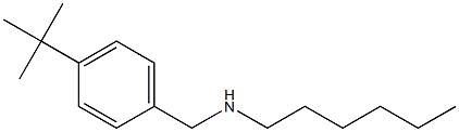 [(4-tert-butylphenyl)methyl](hexyl)amine,,结构式