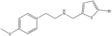 [(5-bromothiophen-2-yl)methyl][2-(4-methoxyphenyl)ethyl]amine Structure