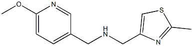 [(6-methoxypyridin-3-yl)methyl][(2-methyl-1,3-thiazol-4-yl)methyl]amine|