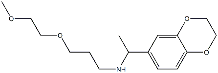 [1-(2,3-dihydro-1,4-benzodioxin-6-yl)ethyl][3-(2-methoxyethoxy)propyl]amine 化学構造式