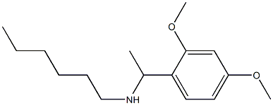 [1-(2,4-dimethoxyphenyl)ethyl](hexyl)amine