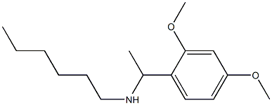 [1-(2,4-dimethoxyphenyl)ethyl](hexyl)amine|