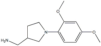 [1-(2,4-dimethoxyphenyl)pyrrolidin-3-yl]methylamine