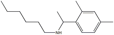 [1-(2,4-dimethylphenyl)ethyl](hexyl)amine|