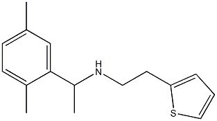 [1-(2,5-dimethylphenyl)ethyl][2-(thiophen-2-yl)ethyl]amine|