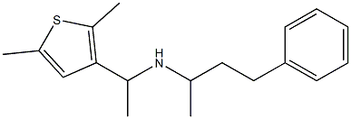 [1-(2,5-dimethylthiophen-3-yl)ethyl](4-phenylbutan-2-yl)amine 结构式