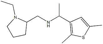 [1-(2,5-dimethylthiophen-3-yl)ethyl][(1-ethylpyrrolidin-2-yl)methyl]amine|