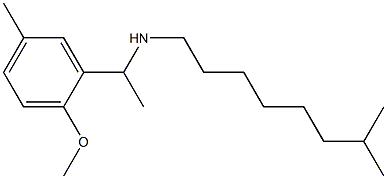 [1-(2-methoxy-5-methylphenyl)ethyl](7-methyloctyl)amine Struktur