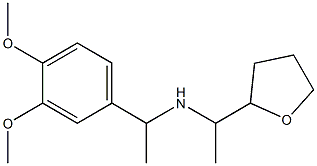 [1-(3,4-dimethoxyphenyl)ethyl][1-(oxolan-2-yl)ethyl]amine