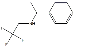 [1-(4-tert-butylphenyl)ethyl](2,2,2-trifluoroethyl)amine,,结构式